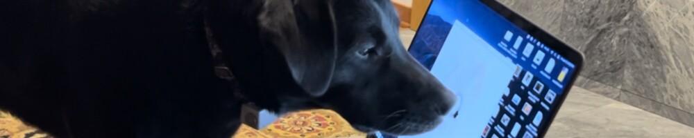 2026 Posit Internships