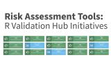 Marly Gotti | Risk Assessment Tools: R Validation Hub Initiatives | Posit